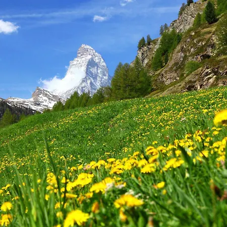 Ruetschi-2 By Interhome Apartment Zermatt